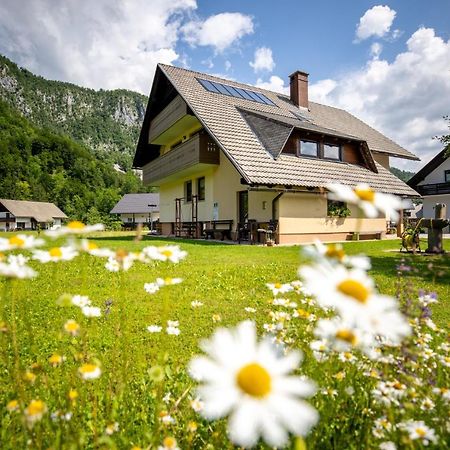 Apartments Darinka Mencinger Бохинь Экстерьер фото