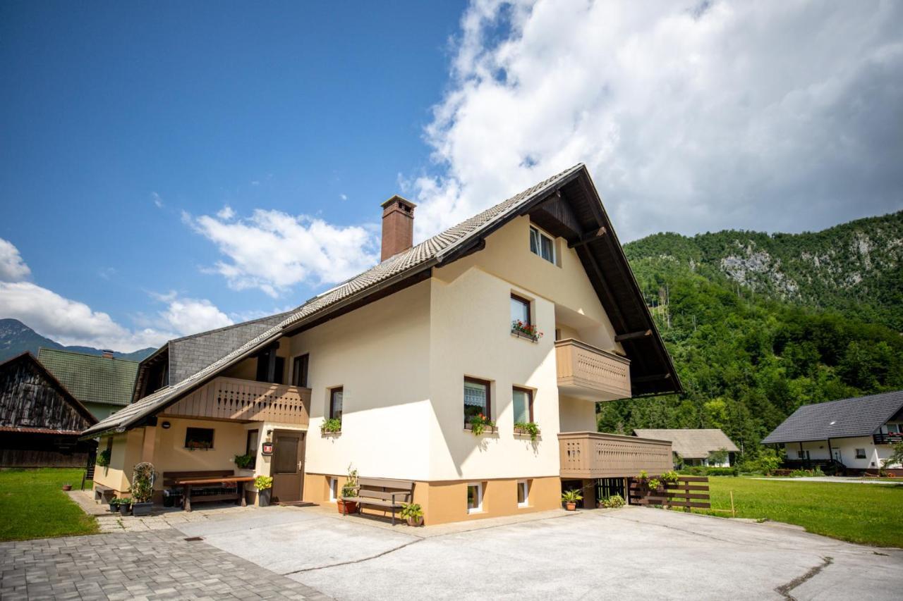Apartments Darinka Mencinger Бохинь Экстерьер фото